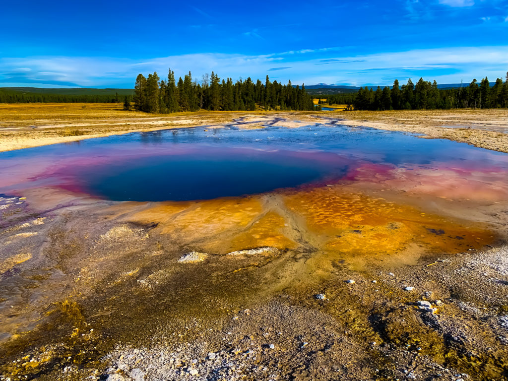 Grand Prismatic Springs – Amerigo's Journey